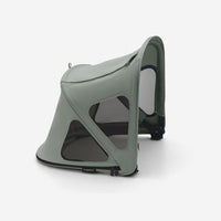 Verde pino