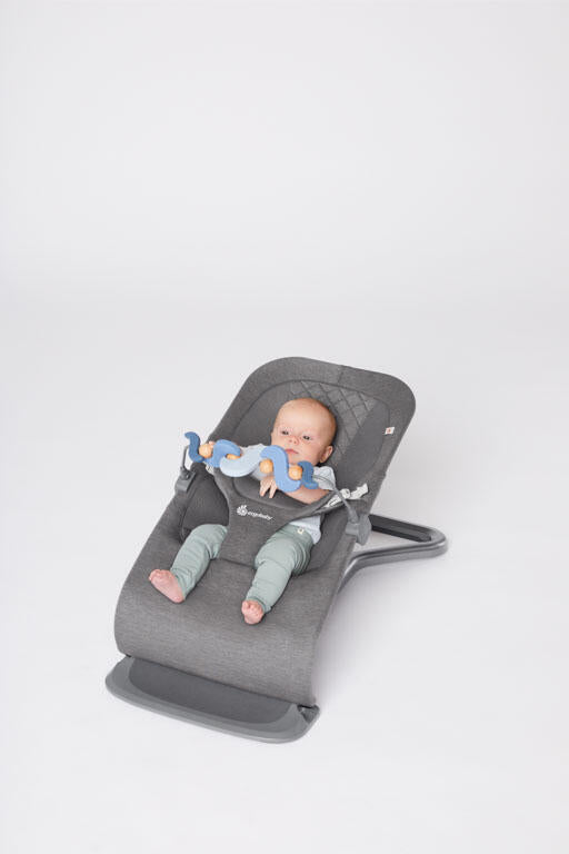 Ergobaby Barra de Brinquedos para Espreguiçadeira Evolve - Serene Swells