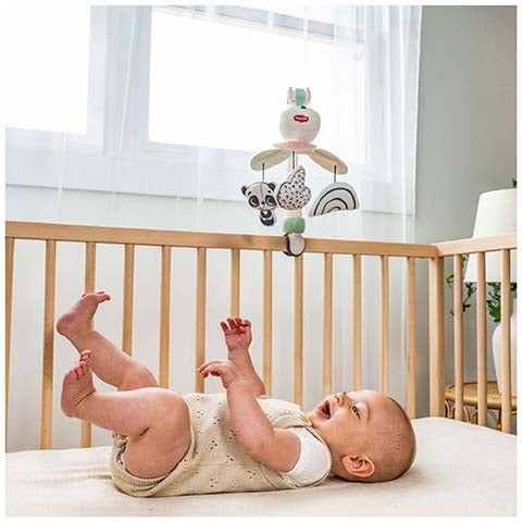 Tiny Love Take Along Mobile Black & White Decor