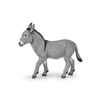 PAPO - Burro de Provença