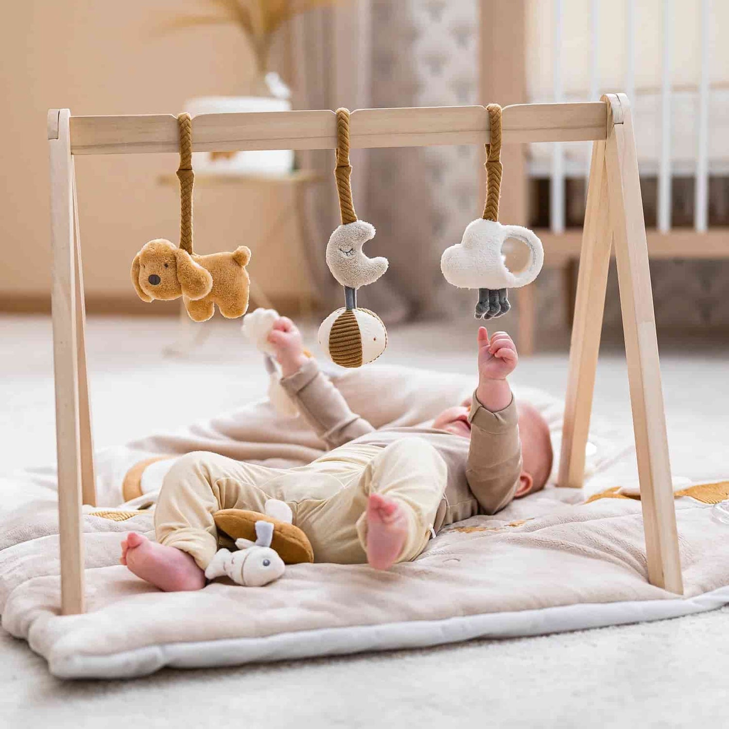 Nattou Charlie - Arco em madeira com brinquedos