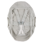 iZi Transfer da BeSafe - Light Grey