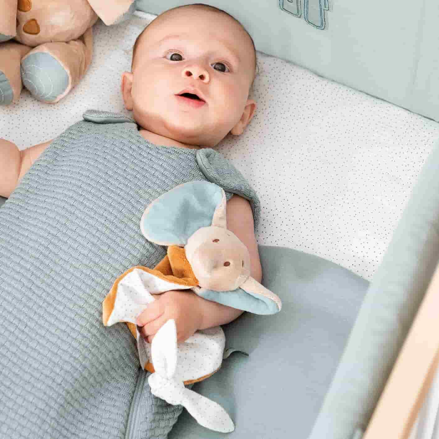 Nattou Luna & Axel - Mini Doudou - Elefante - Axel