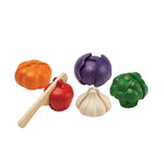 PlanToys - Set 5 Vegetais Coloridos