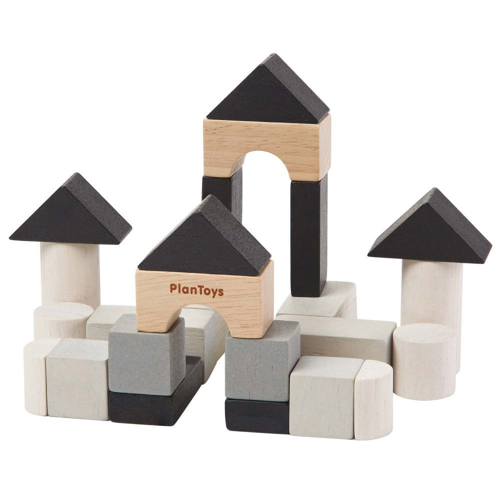 PlanToys - Set de Construção (Pk 6)