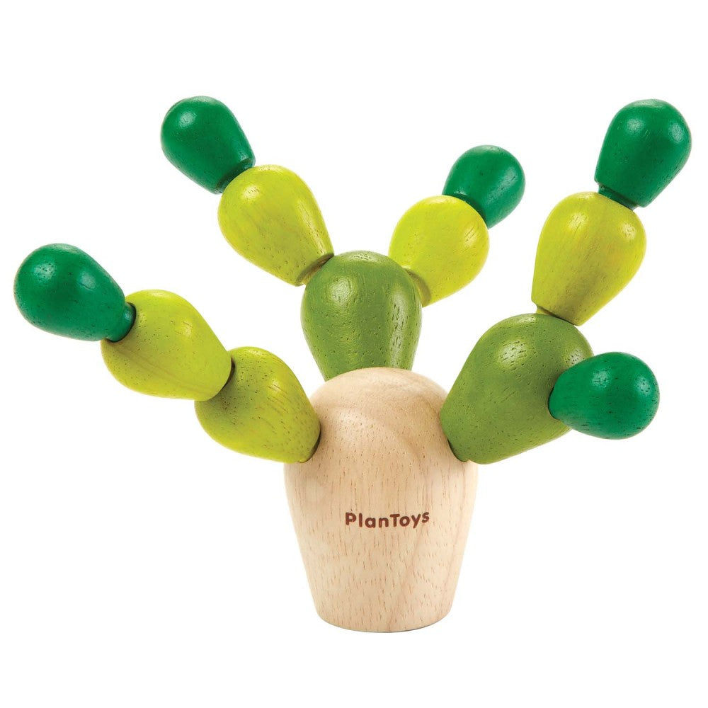 PlanToys - Cacto em Equilíbrio (Pk 6)