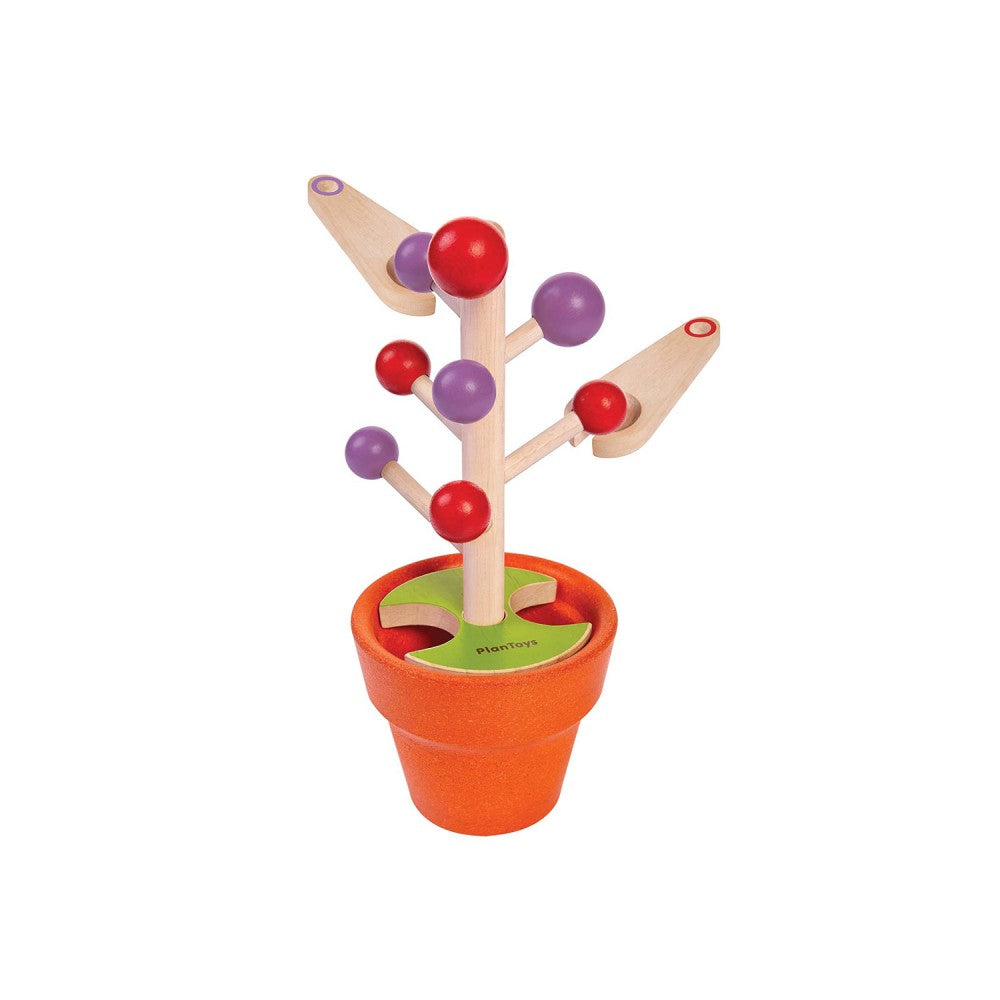 PlanToys - Escolhe uma Baga