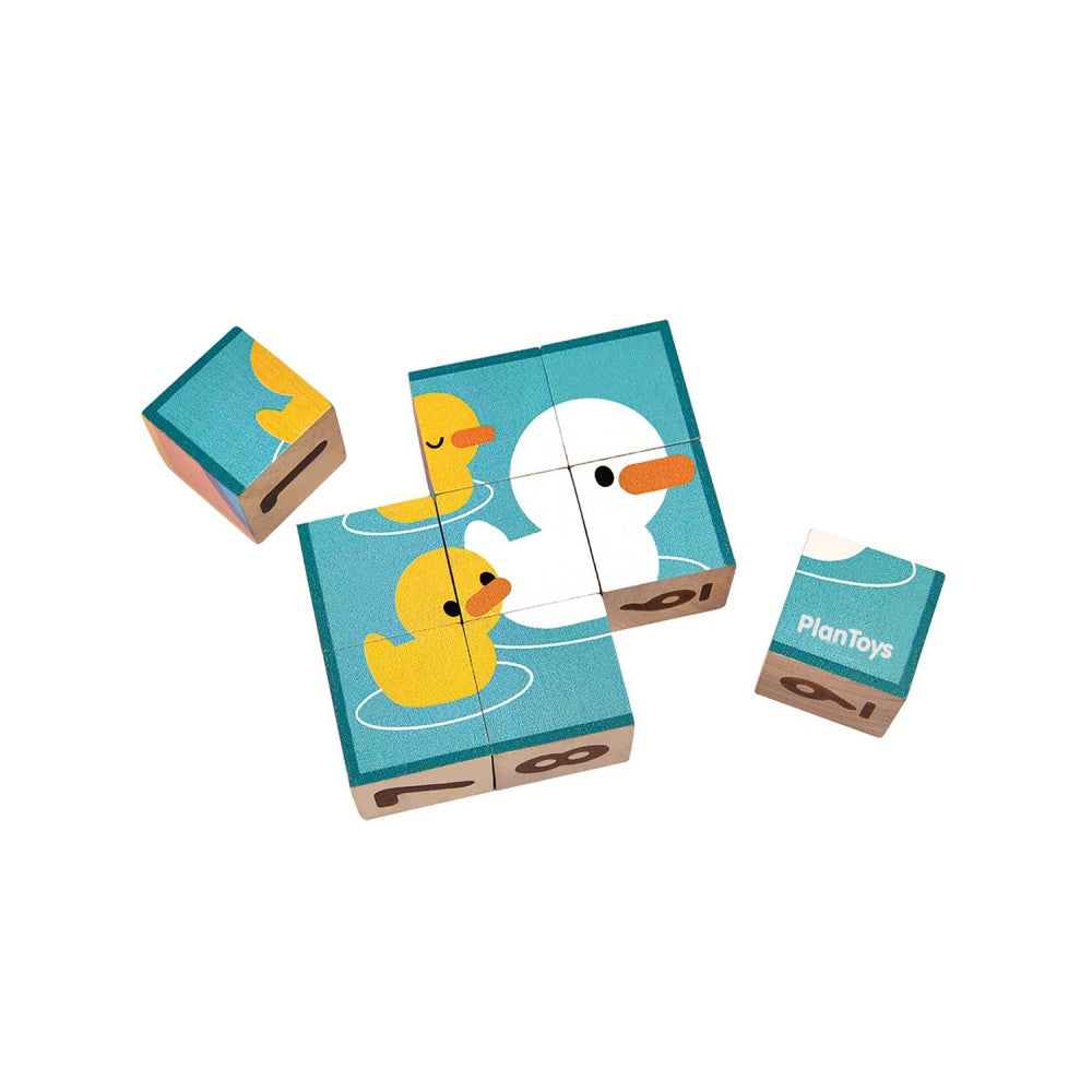 PlanToys - Puzzle de Cubos