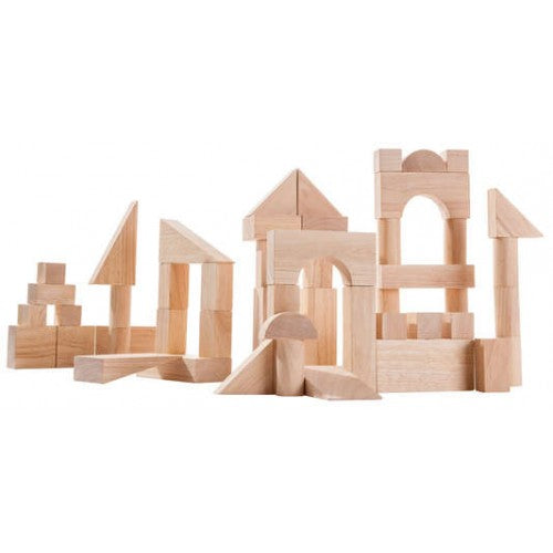 PlanToys - Blocos - 50 Unidades