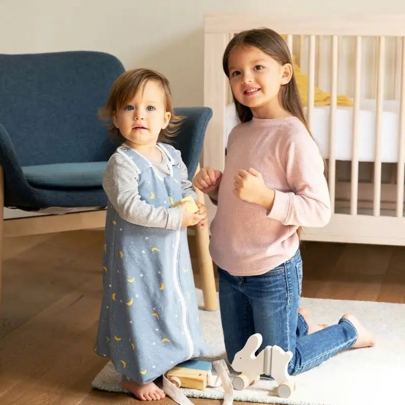 Ergobaby Saco de dormir On the Move 18-36m Tog 2,5 - Stellar