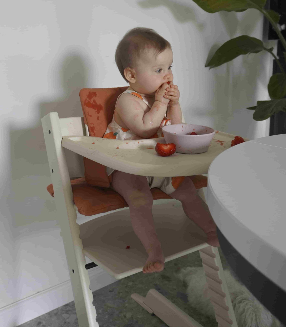 Stokke Tripp Trapp Tabuleiro - Vanilla White