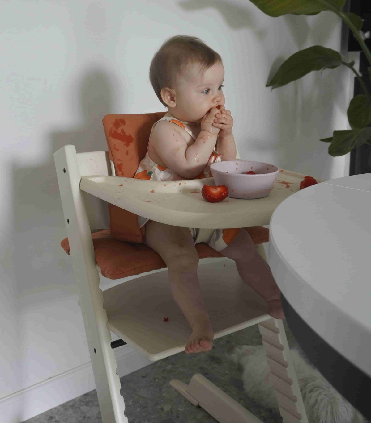 Stokke Tripp Trapp + Oferta Baby Set - Vanilla White