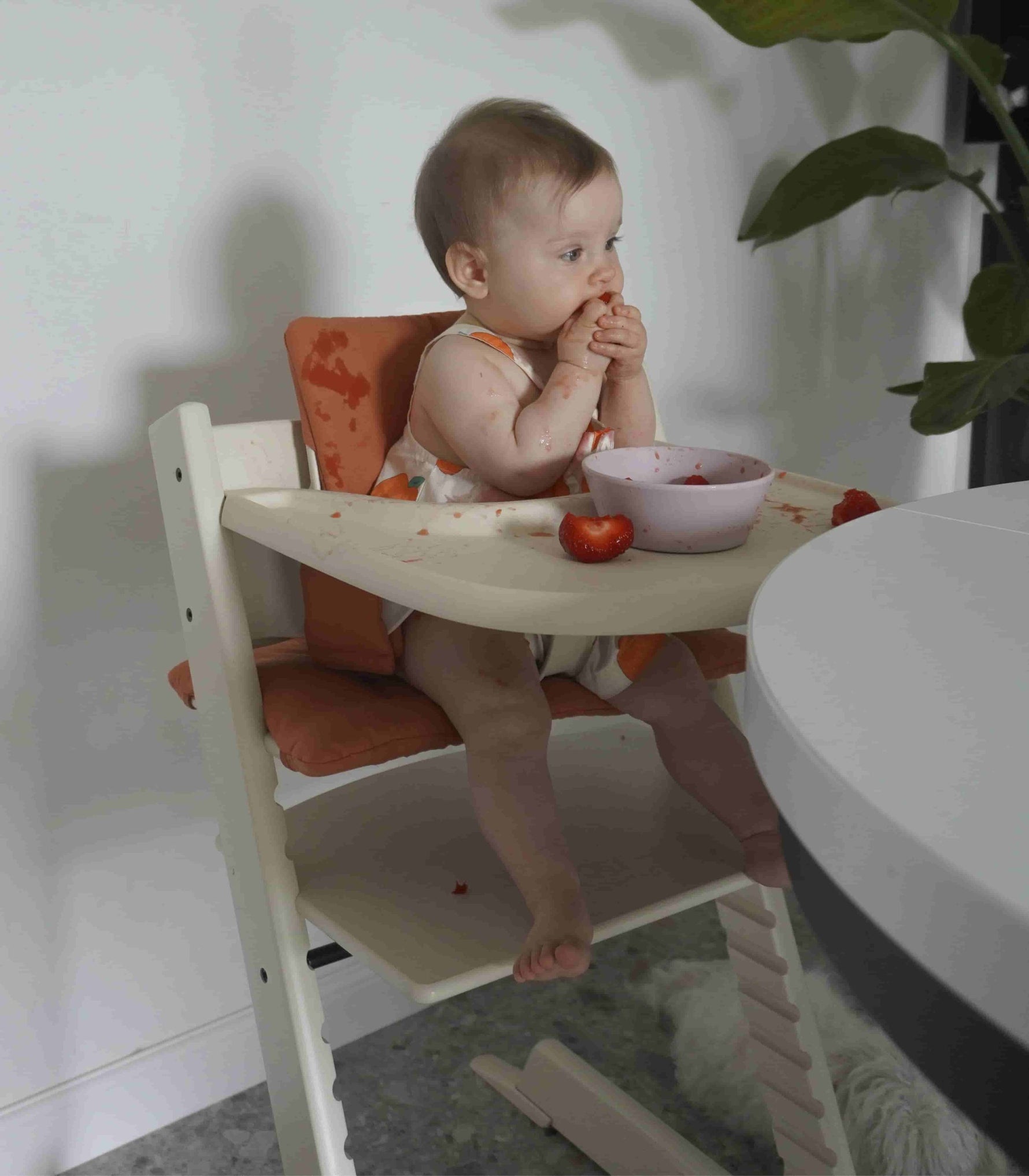 Stokke Tripp Trapp + Oferta Baby Set - Vanilla White