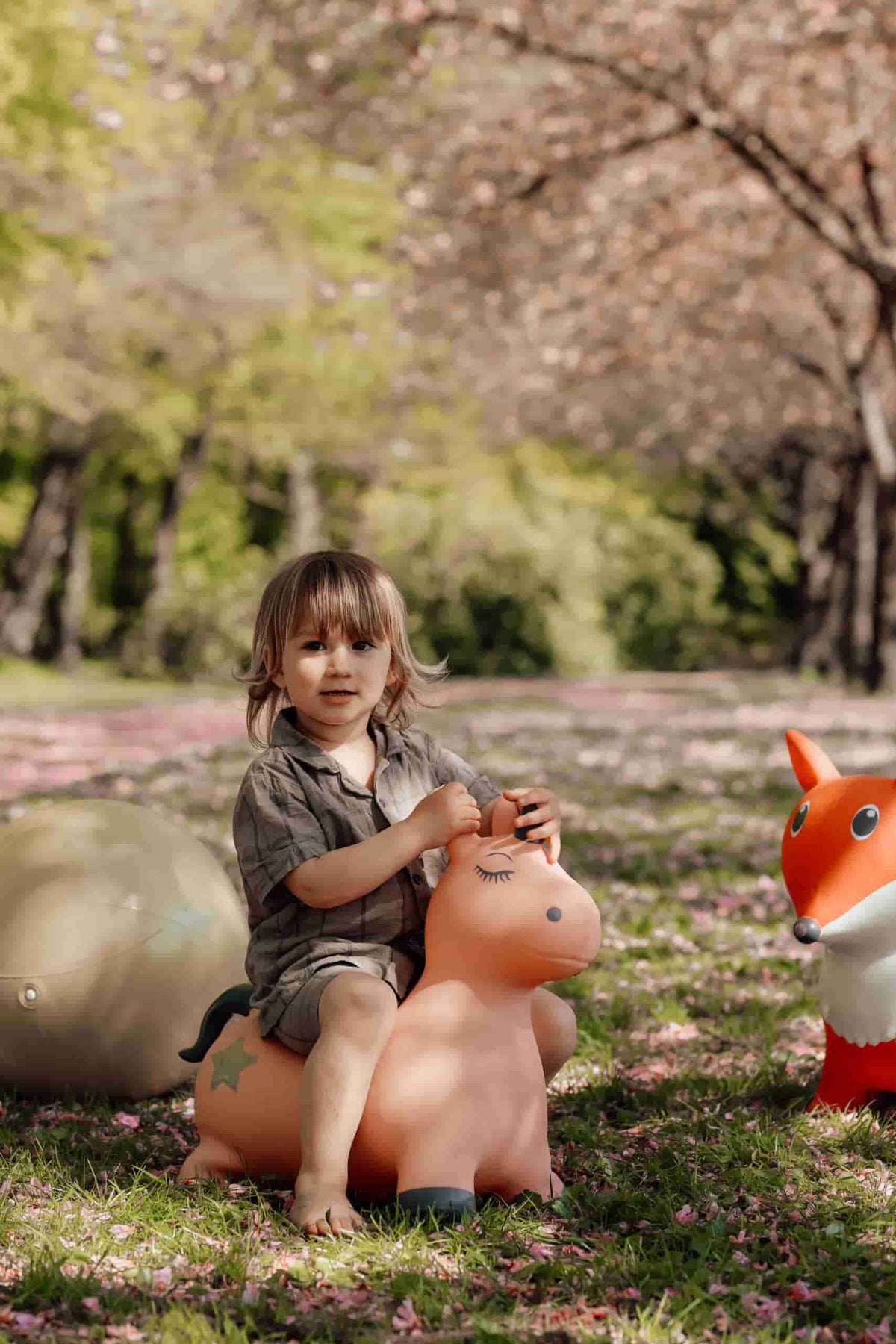 Find That Hippo Animais Saltitantes - Unicornio
