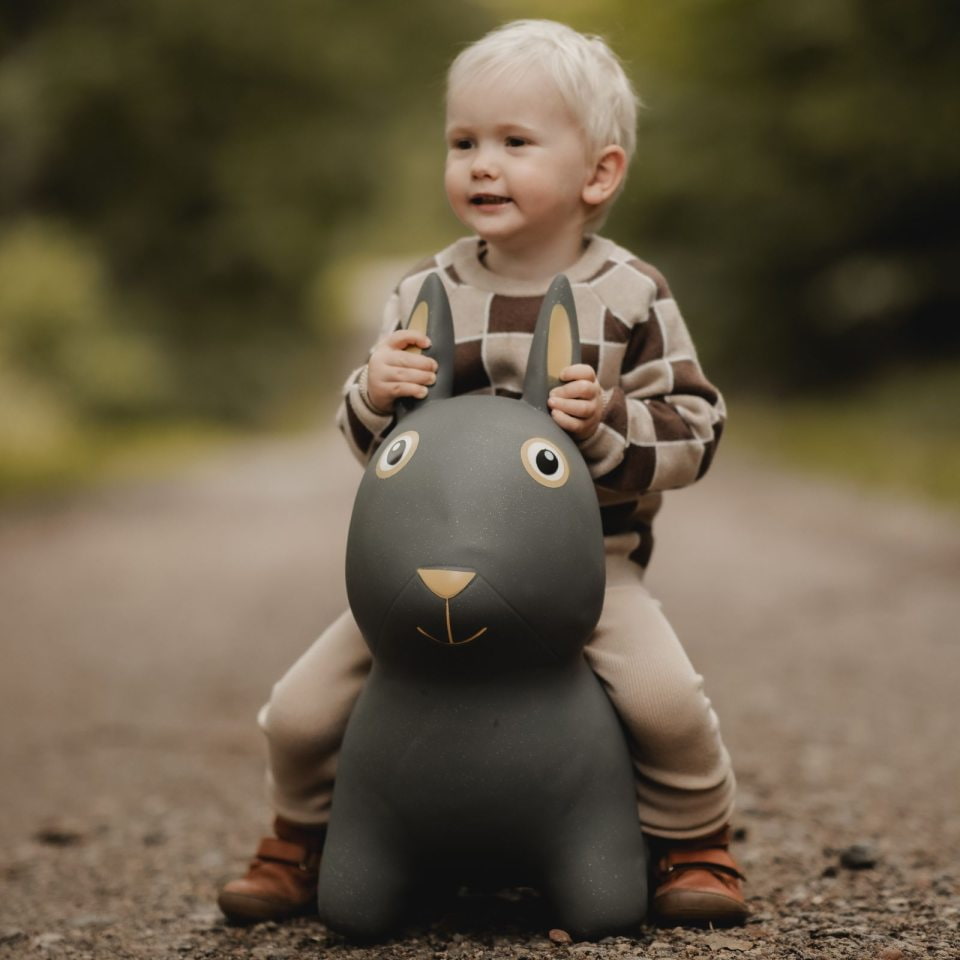 Find That Hippo Animais Saltitantes - Coelho