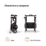 Inglesina System Quattro Electa Darwin - Studio Grey