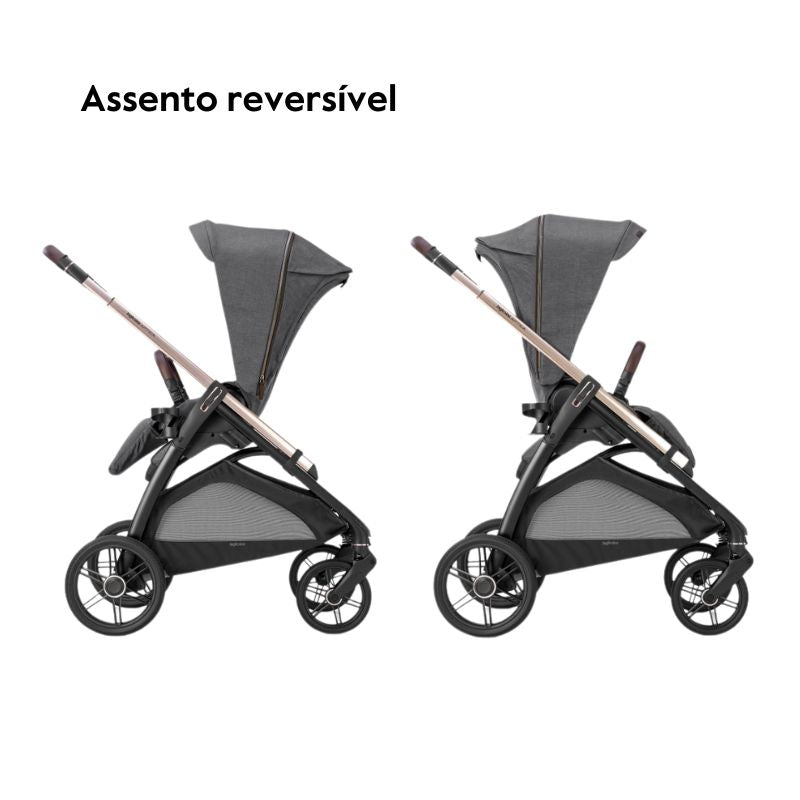 Inglesina System Quattro Aptica Darwin assento reversível