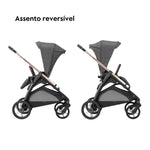 Inglesina System Quattro Aptica Darwin assento reversível