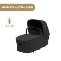 Onyx Black