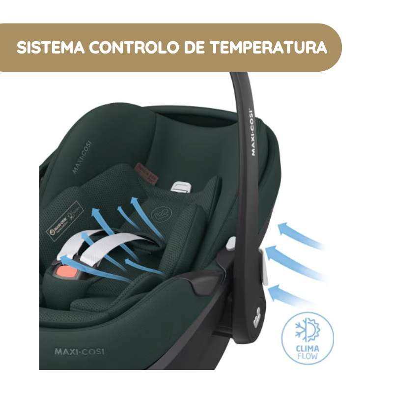 Maxi-Cosi Cadeira Auto Pebble 360 Pro2 - Twillic Graphite