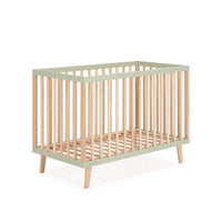 Mint/Madeira