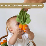 Oli & Carol Mordedor e Mini Doudou Cenoura Cathy