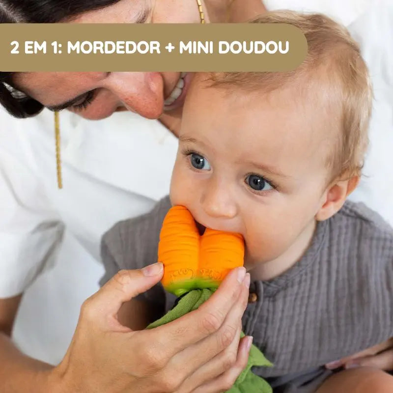 Oli & Carol Mordedor e Mini Doudou Cenoura Cathy
