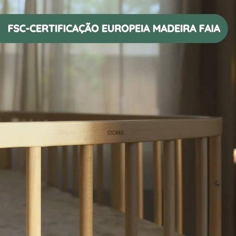 FSC-certificação europeia madeira faia