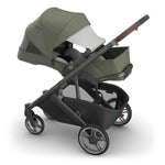 UPPAbaby Carrinho de Bebé Cruz V3 - Evelyn