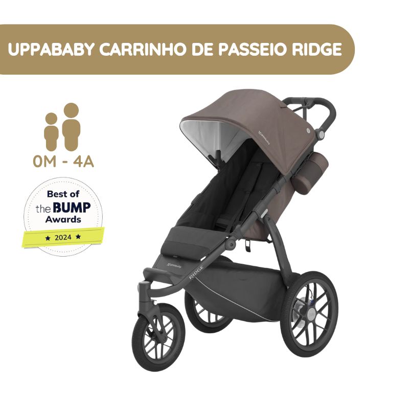 UPPAbaby Carrinho de Bebé Ridge - Theo