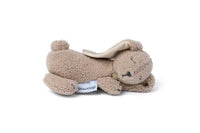 Bunny Biscuit
