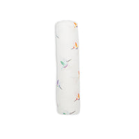 Colibri