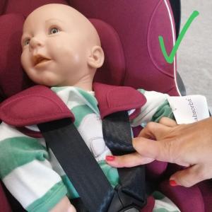 arnes da cadeirinha de bebe