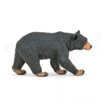 PAPO - Urso Negro Americano